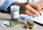 ABRIRÁN UN REGISTRO DE PACIENTES PARA TRATAMIENTO CON CANNABIS MEDICINAL
