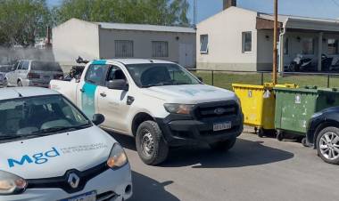 FUMIGACION POR LA CRECIENTE PRESENCIA DE MOSQUITOS