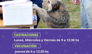 LA CAMPAÑA DE ZOONOSIS CONTINUARA EN EL CRIM