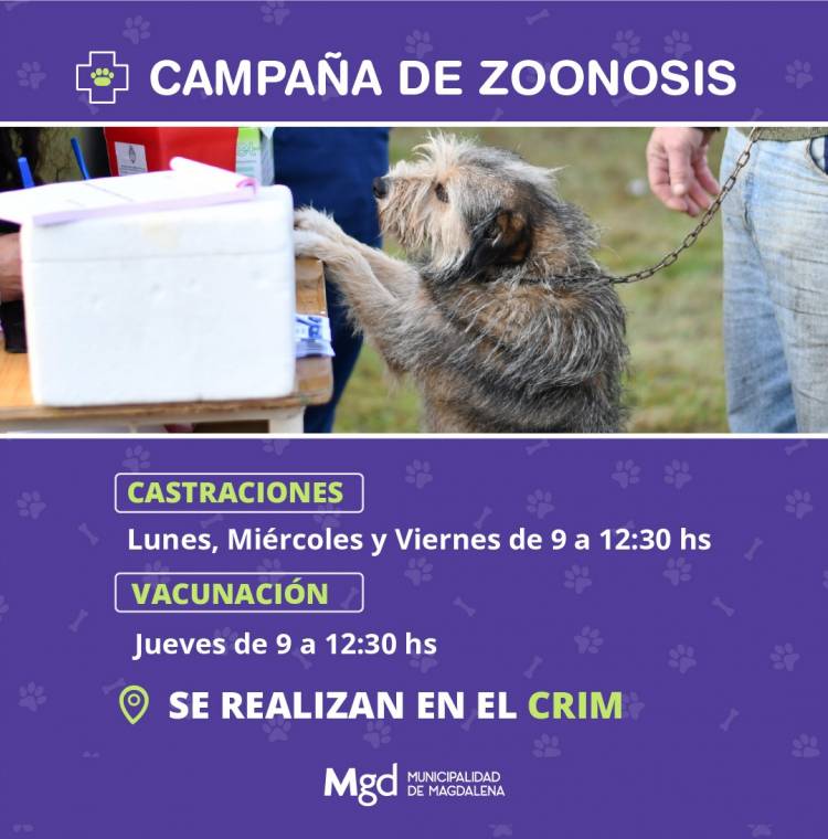 DURANTE OCTUBRE CONTINUA LA CAMPAÑA DE ZOONOSIS EN EL CRIM