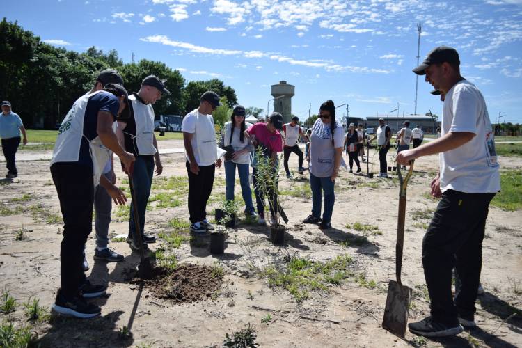 PLANTACION DE ESPECIES NATIVAS
